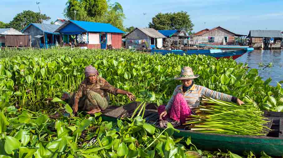 Tonle Sap - village de Prek Toal - © ADC Osmose