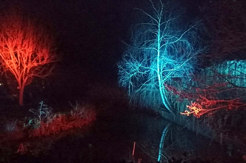 Les Nuits du Parc-Les squelettes hivernaux - © Hubert Gouleret