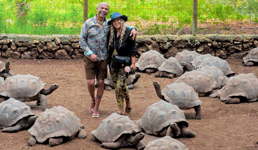 Découverte des célèbres tortues géantes des Seychelles - © Joey Nicles Modeste