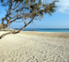 La Grèce ouvre ses plages